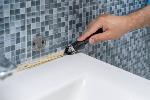 Best Emergency Mold Remediation in University Gardens, NY